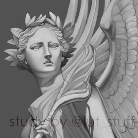 Studies